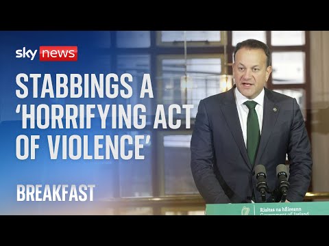 Dublin stabbings 'horrifying act of violence', says Taoiseach Leo Varadkar