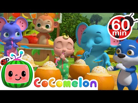 Grow Grow Grow Your Fruit  | Animals for Kids |Animal Cartoons |Funny Cartoons |Learn about Animals