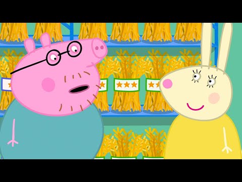 Cochons d'Inde | Peppa Pig Fran&ccedil;ais Episodes Complets