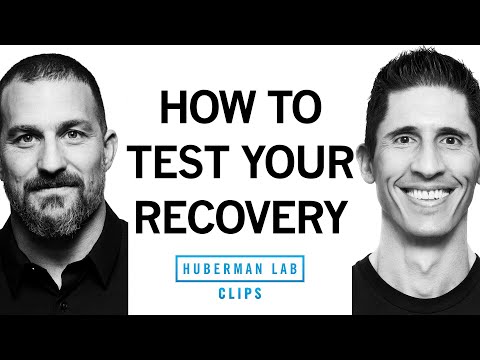 A Simple Test for Gauging Recovery &amp; Workout &ldquo;Readiness&rdquo; | Jeff Cavaliere &amp; Dr. Andrew Huberman