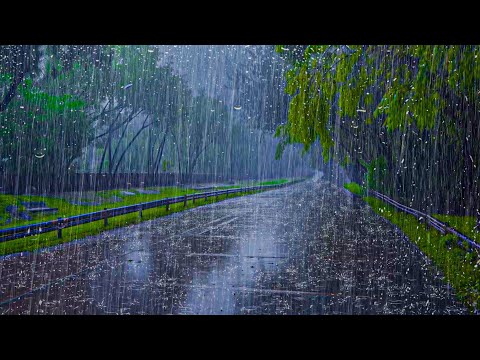 Overcome insomnia in 3 minutes with Heavy Rain, strong Winds on the empty road in the forest