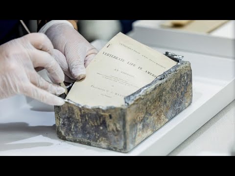 Peabody Time Capsule Opening