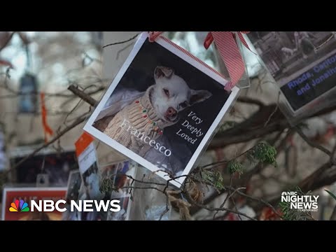 The story behind Central Park&rsquo;s Pet Memorial Christmas tree