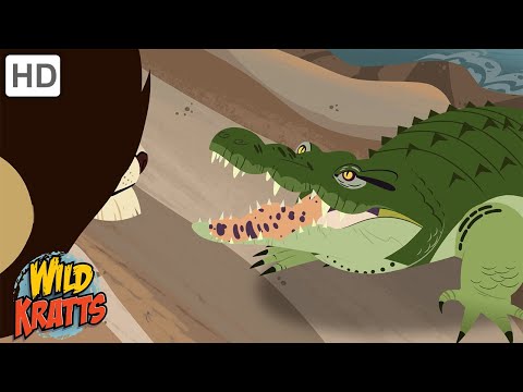 Creature Battles! | Every Creature Showdown Part 9 | Wild Kratts