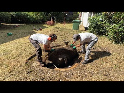 Homeowner SHOCKED when I FOUND This HIDING Under Her Overgrown Yard