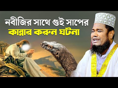 নবীজির সাথে গুই সাপের কান্নার করুন ঘটনা। qari ruhul amin siddiqui