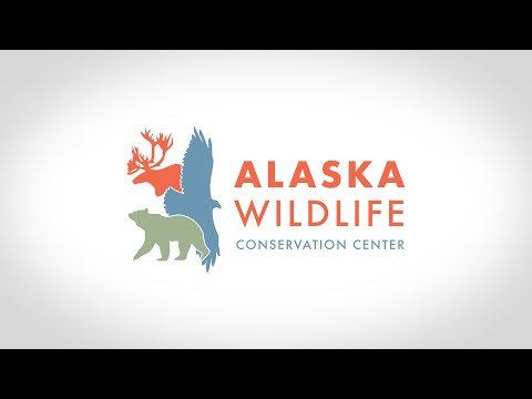 Alaska Wildlife Conservation Center - Gold Pan Awards 2023