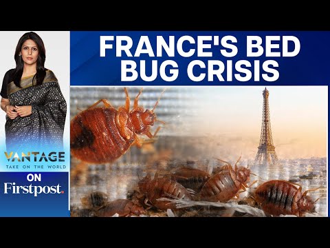 France in Grip of Bed Bug Panic ahead of Paris Olympics | Vantage with Palki Sharma