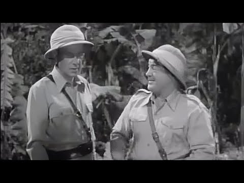 Abbott &amp; Costello | Africa Screams (1949) Adventure, Comedy | Full Movie, Subtitles