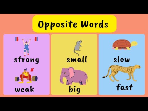 Learn Opposite Words  || विलोम शब्द सीखें || 