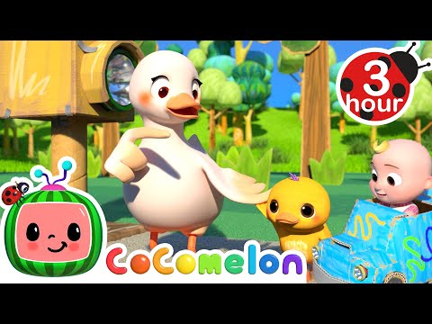 Practice Crossing The Street- Safe Traffic Song | Cocomelon - Nursery Rhymes | Fun Cartoons For Kids