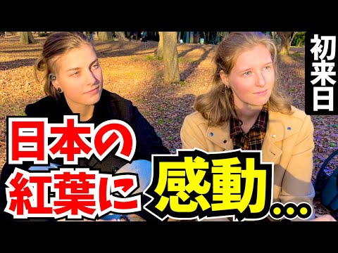 「本当は日本に来るつもりは無かったけど&hellip;」日本の紅葉に感動する外国人に日本の印象や素敵な体験談を聞いてみた! 【外国人にインタビュー】【海外の反応】