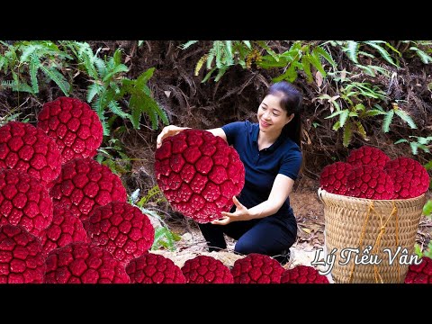 Harvest Red Wild Pineapple &amp; Goes to the Market sell - Harvesting and Cooking | Daily Life