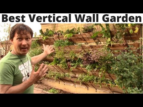 Best Vertical Wall Garden You Can Assemble without Tools