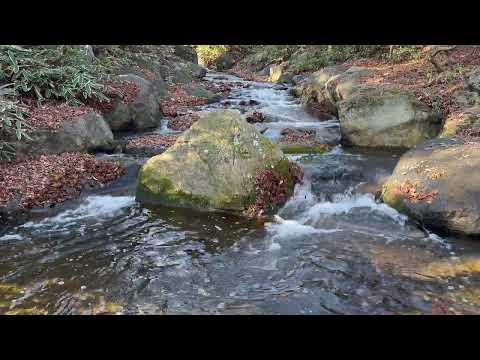 [4Ｋ画質] 　川の流れる音が癒される