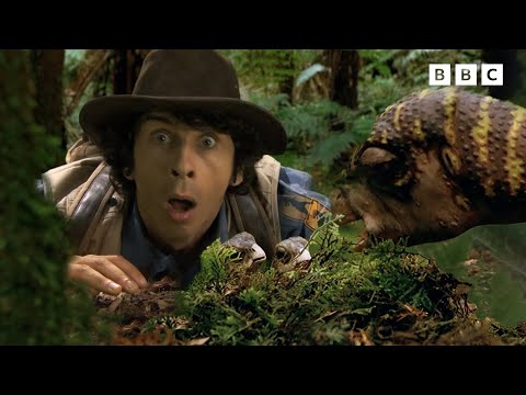 Andy and the Leaellynasaura | Andy's Dinosaur Adventures | Andy's Amazing Adventures