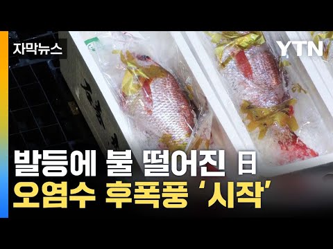 [자막뉴스] 이례적 수치에 '깜짝'...시작된 日 오염수 '후폭풍' / YTN