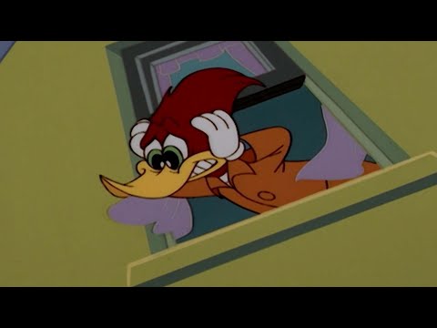 Woody can't sleep! | Woody Woodpecker