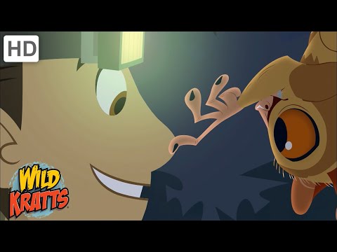 Mini Mammals | Monkeys, Raccoons, Bats + more [Full Episodes] Wild Kratts