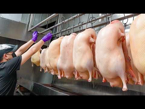 Juicy! Roast Peking Duck Dishes in High-end Duck Restaurant / 一鴨八吃! 高級北京烤鴨餐廳 - Taiwanese Food