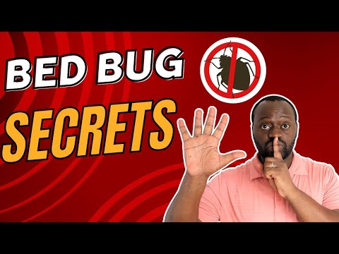 5 SECRETS to Getting Rid of Bed Bugs