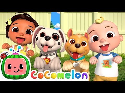 Puppy Play Date | CoComelon Nursery Rhymes &amp;amp; Kids Songs