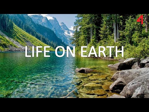 NATURE | MEDITATION | RELAX | BEAUTIFUL | CALM MUSIC | 4K