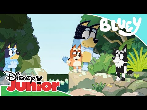 Bluey: Concurso | Disney Junior Oficial