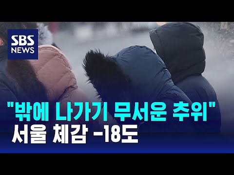 &quot;밖에 나가기 무서운 추위&quot; 최강 한파&hellip;서울 체감 -18도 / SBS