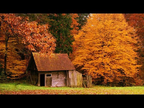 Relaxing Sleep Music, Meditation Music, Deep Sleep Music, Calm Music, Study, Sleeping Music