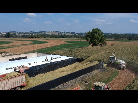 Filling all 3 Bunks in ONE DAY | Corn Silage Harvest 2023