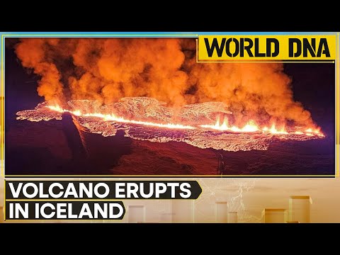 Volcano erupts in Southwest Iceland, PM says eruption 'a very serious situation' | WION World DNA