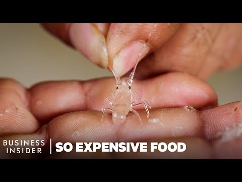 Why Pearl Lobsters Are So Expensive | So Expensive Food | Insider Business