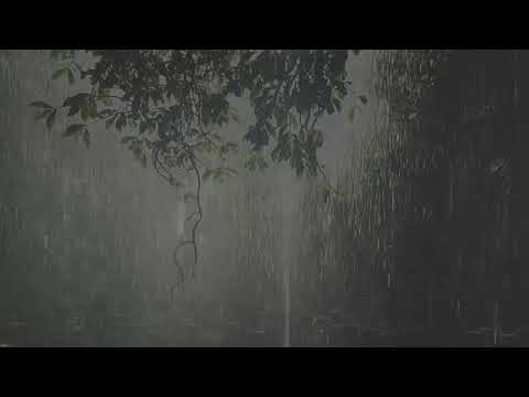 Sonidos de Lluvia y Truenos relajante para dormir (30 minutos)