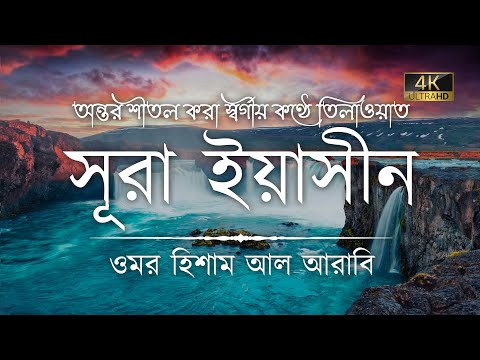 অন্তর শীতল করা কণ্ঠে সূরা ইয়াসীন ( سورة يس) ┇ Surah Yaseen Recited by Omar Hisham Al Arabi