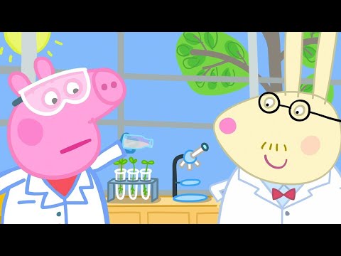 Science Experiments With Plants 🌳 | Peppa Pig Official Full Episodes