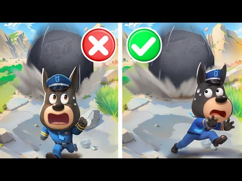 Outdoor Earthquake Safety | Kids Cartoon | Police Rescue | Sheriff Labrador