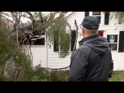 Powerful winds snap trees across northeastern Mass.