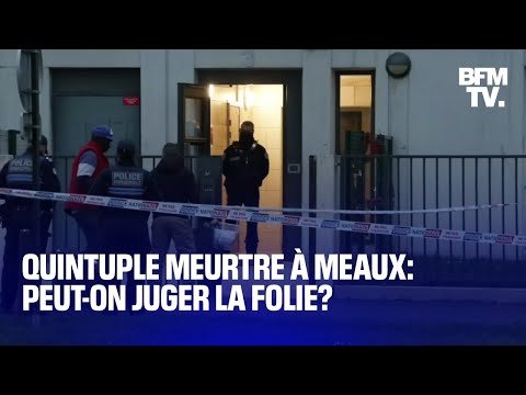 7 MINUTES POUR COMPRENDRE - Troubles psychiatriques: le suspect de Meaux pourra-t-il &ecirc;tre jug&eacute;?