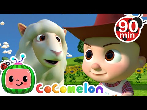 Ba Ba Black Sheep with JJ | Animals for Kids | Animal Cartoons | Funny Cartoons |Learn about Animals