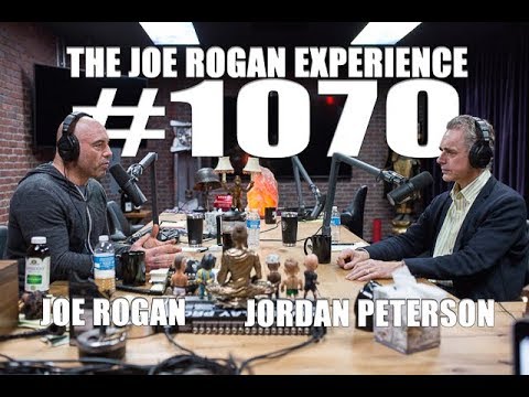 Joe Rogan Experience 