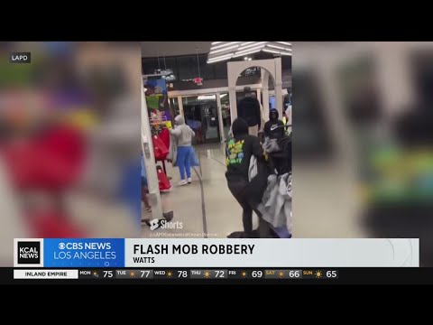 Community bands together after flash mob robbery strikes Nike store