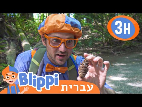 *Beach Clean Up* | טלוויזיה לילדים | בדוק את זה! תסתכל על זה! BLIPPI