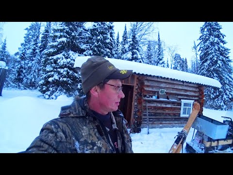 Заехал в свою избу. Ищу косачей в лунках на большом болоте. 