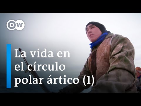 Una vuelta alrededor del Polo Norte - Parte 1 | DW Documental