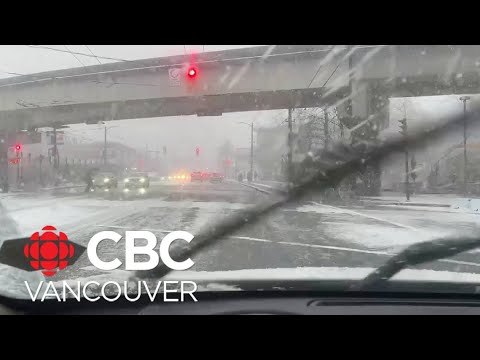 Commuters urged to be careful on the road as heavy snow hits Metro Vancouver