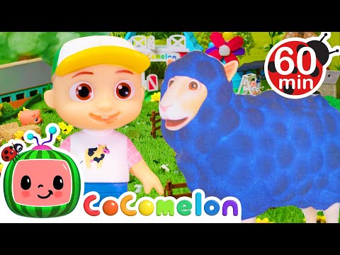 Baa Baa Black Sheep! | Toy Play | CoComelon Kids Songs &amp; Nursery Rhymes