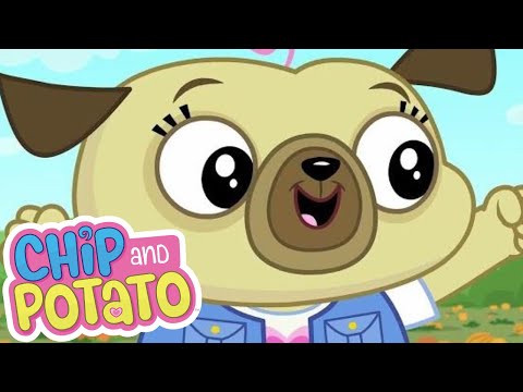 Chip and Potato | Chips Very Busy Day | Cartoons For Kids