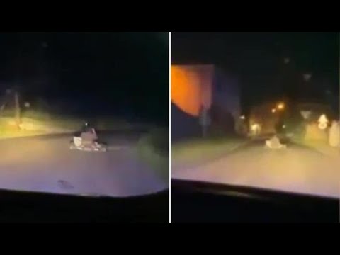 Con il go-kart (fino a 150 km/h) in fuga dalla polizia: preso dopo un&rsquo;ora di folle inseguimento