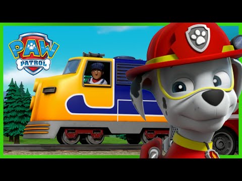 Marshall Saves a Runaway Train and MORE | PAW Patrol | Cartoons for Kids